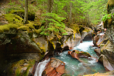 Avalanche Gorge in Glacier national park ,montana, usaの写真素材