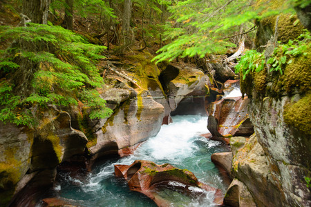 Avalanche Gorge in Glacier national park ,montana, usaの写真素材