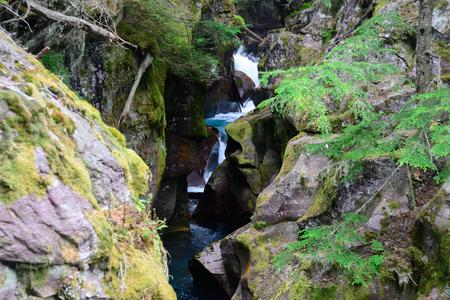 Avalanche Gorge in Glacier national park ,montana, usaの写真素材