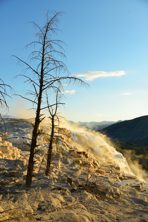 Geothermal flow of hot, carbonate rich water, forms cascading, dark orange travertine terraces, with steam rising and mountains in the background, at Mammoth Hot Springs in Yellowstone, Wyomingの写真素材