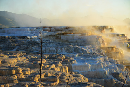 Geothermal flow of hot, carbonate rich water, forms cascading, dark orange travertine terraces, with steam rising and mountains in the background, at Mammoth Hot Springs in Yellowstone, Wyomingの写真素材