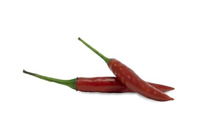 Chili pepper isolated on white backgroundの写真素材