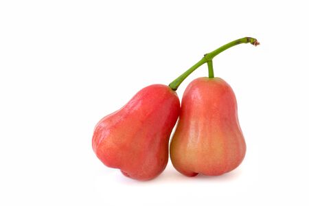Rose apples isolated on a white backgroundの写真素材