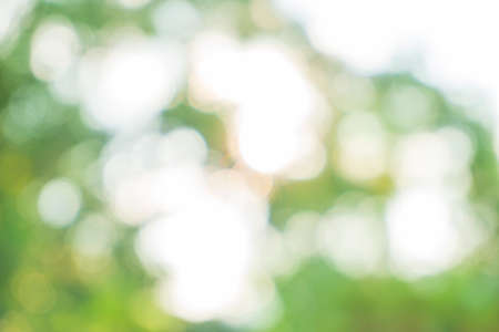 Green bokeh background from natureの写真素材