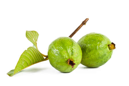 Guava fruit on white の写真素材