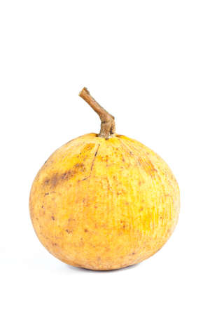 Santol fruit.の写真素材