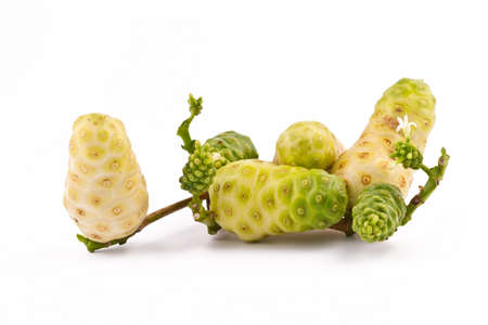 Noni fruits on white isolated background の写真素材