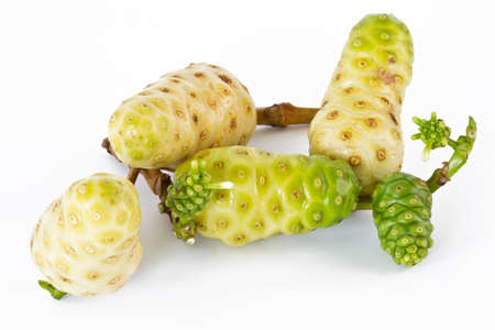 Noni fruits on white isolated background の写真素材