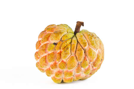 Fresh custard apple on white background の写真素材