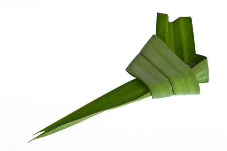 Fresh Pandan leaves on white background の写真素材