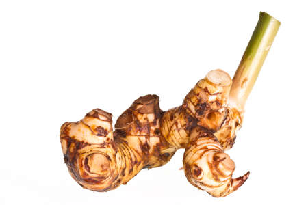 Galangal on white background の写真素材
