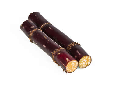 Sugar cane on white background 