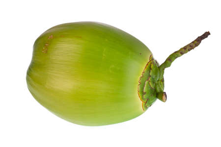 Coconut Fruit on white background  の写真素材