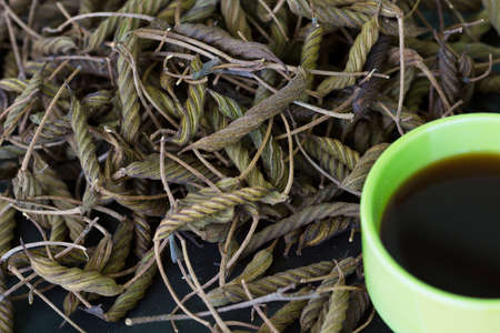 East Indian screw tree  Helicteres isora  L  ,bring to boil and drink can have a bitter taste similar to tea の写真素材