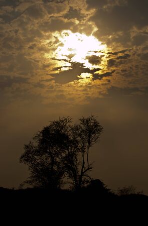 Sunset silhouette photosの写真素材