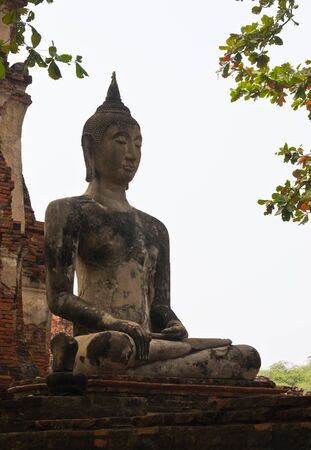 Buddha statueの写真素材