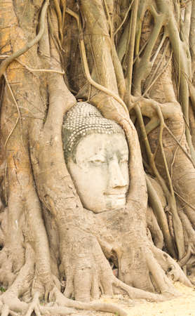 The ancient city of Ayutthayaの写真素材