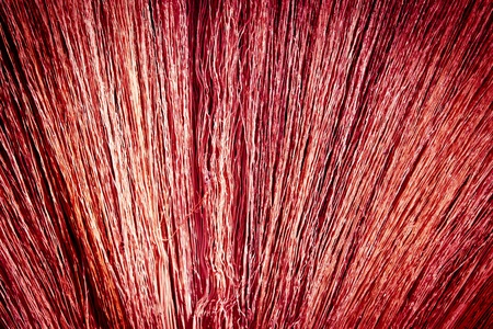 Broom grassの写真素材