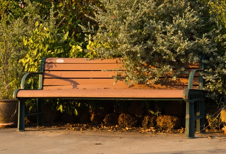 Chair in the parkの写真素材
