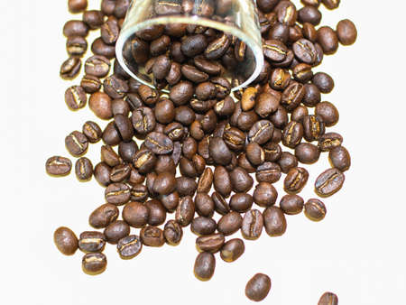 The dark roasted coffee beanの写真素材