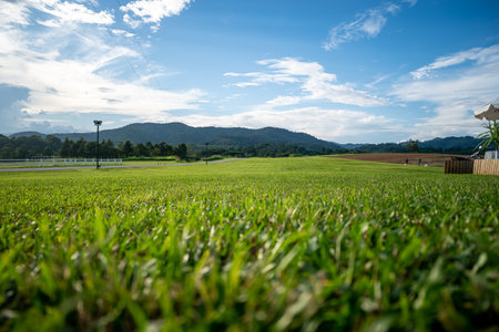 Low angle view of green grass field, mountain and sky in the morning light. Countryside springtime landscape with valley behind the forest on the grassy hill. Copy space for advertisement word.の写真素材