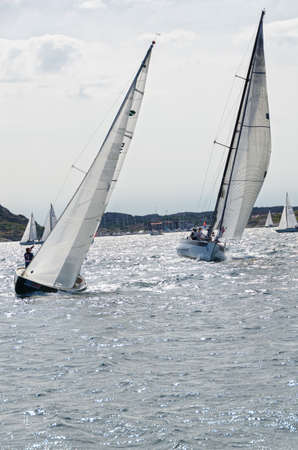 one sail competition on swedish westcoast many boat this lovely day