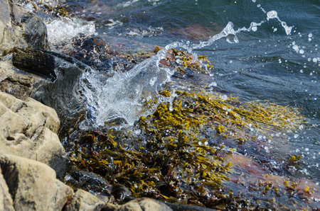 the water splash to a cliff on swedish westcoastの写真素材