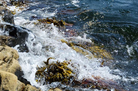 the water be to foam when the wave comes to the cliffの写真素材