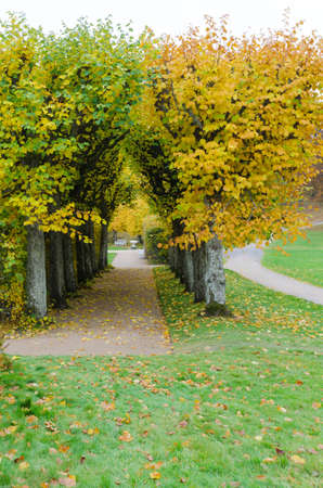 the garden at Gunnebo castle in sweden the tree i beutifulのeditorial素材