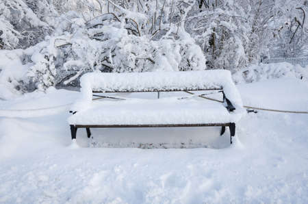 one bench with snow on in the winter not so easy to take a restの写真素材
