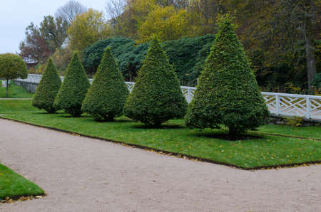 Garden in Gunnebo castle with small tree on the grassのeditorial素材