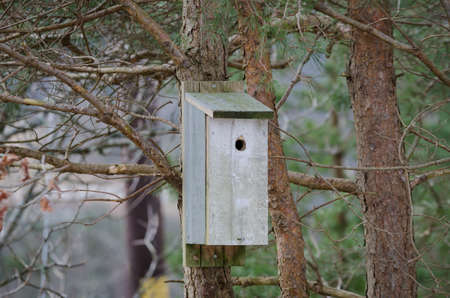 one birdhouse in the tree waiting for the small birdの写真素材