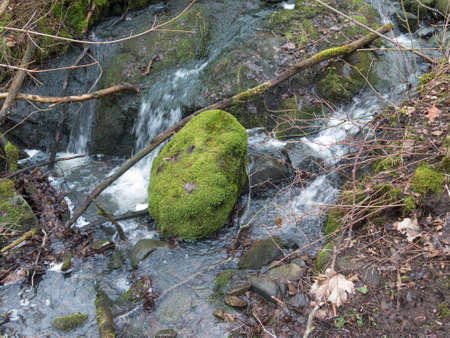 one big stone in the water full of moss and many leaf around