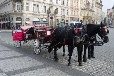 a beutiful horse carriage in the old townのeditorial素材