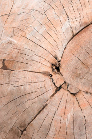 wood texture background with crack and dry