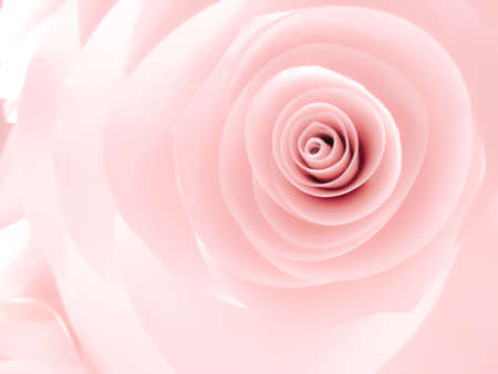 abstract background, paper flower ,pink rose bloomingの写真素材