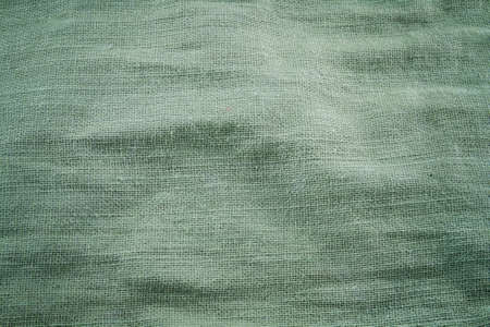 old green calico textile with rough texture