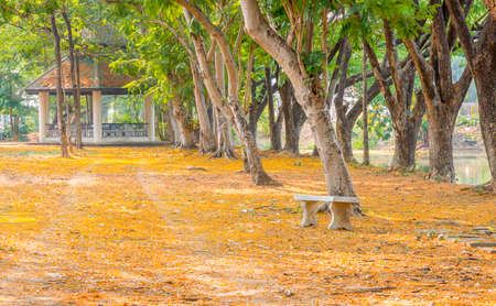 autumn park wtih bench and pavilion, seasonalの写真素材