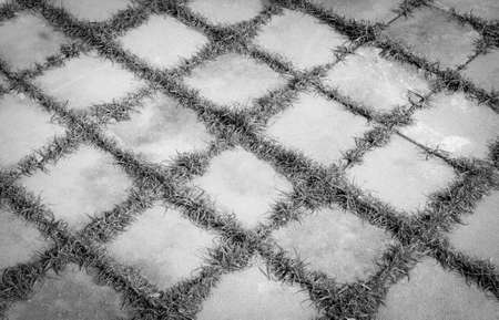 old and dirty paving with grass, abstract backgroundの写真素材