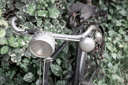 old bicycle beside of plants fence, vintage toned