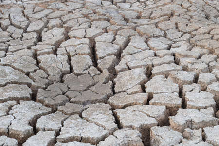 earth cracked, abstract background, drought in summer