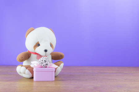 bear doll with gift box on wood table and purple background
