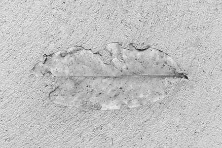 leaves stamp on concrete wall, texture background