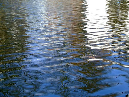 Texture of water surface with reflections