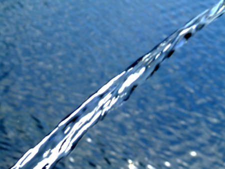 Water currant in a macro shot with water in background