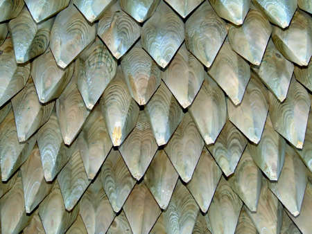 Sharpened wooden sticks in a shape of a pencilの写真素材