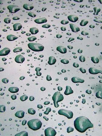 Water drops on green surface after rainの写真素材