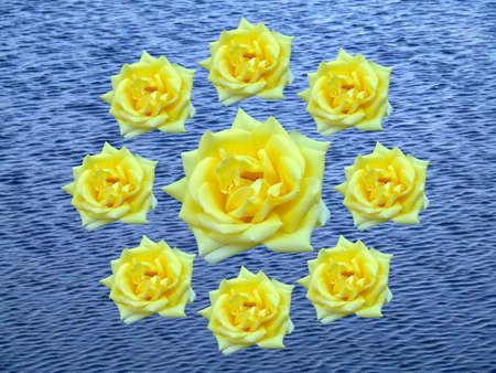 Wreath of yellow rosesの写真素材