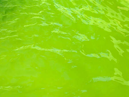 Green water surface