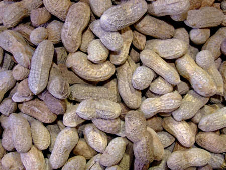 Pile of peanuts in a nut shell